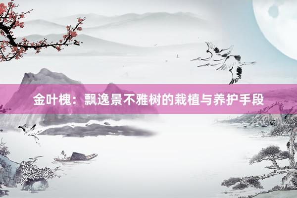 金叶槐：飘逸景不雅树的栽植与养护手段