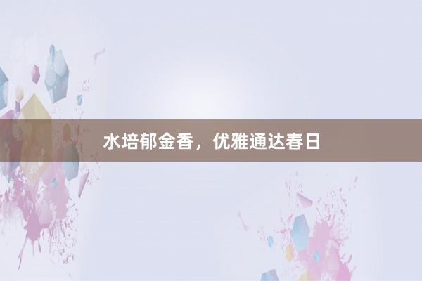 水培郁金香，优雅通达春日