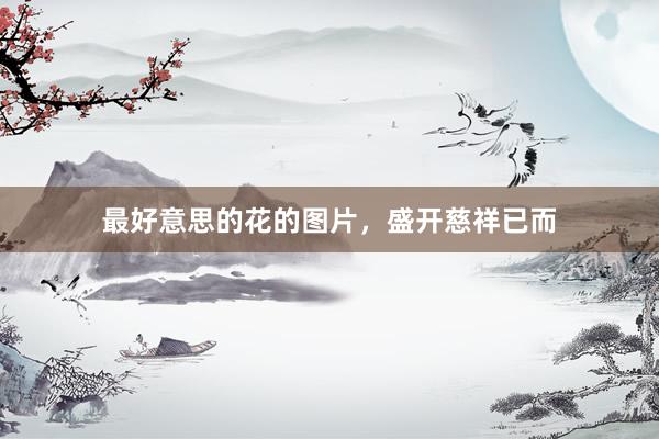 最好意思的花的图片,盛开慈祥已而