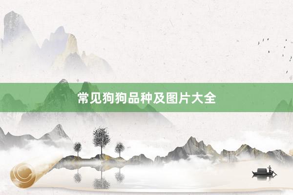 常见狗狗品种及图片大全
